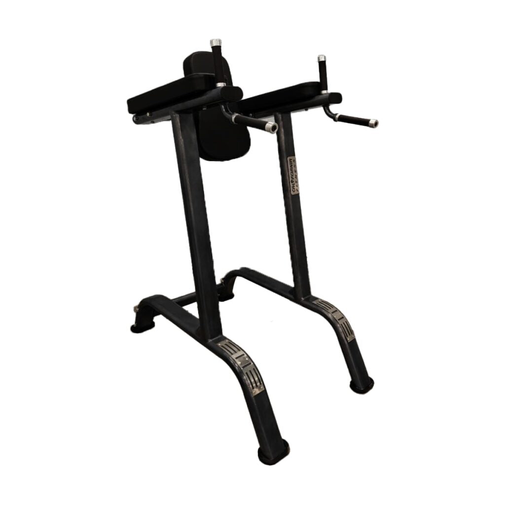 California Fitness CF 4010 Vertical Knee Raise / Dip Stand
